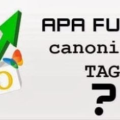 Apa Fungsi Tag Rel Canonical Blogger  Vizion Interactive