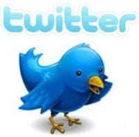 Twitter Logo Bird  Vizion Interactive