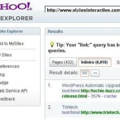 Yahoo Site Explorer Link Search  Vizion Interactive