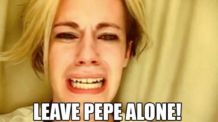 Leave Pepe Alone Wendy’s Twitter: An Example To Follow? Vizion Interactive