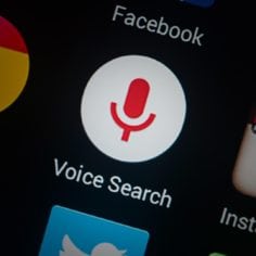 Voice Search  Vizion Interactive