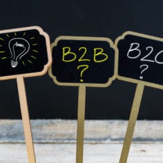 Scaled B2B vs. B2C Google Ads Tips for Success Vizion Interactive