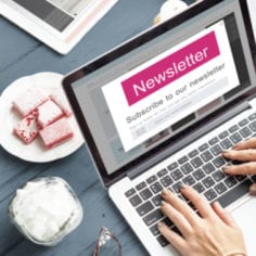 best company newsletters of 2020