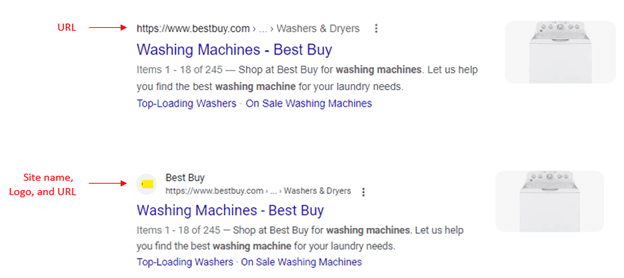 Google Search Results Example